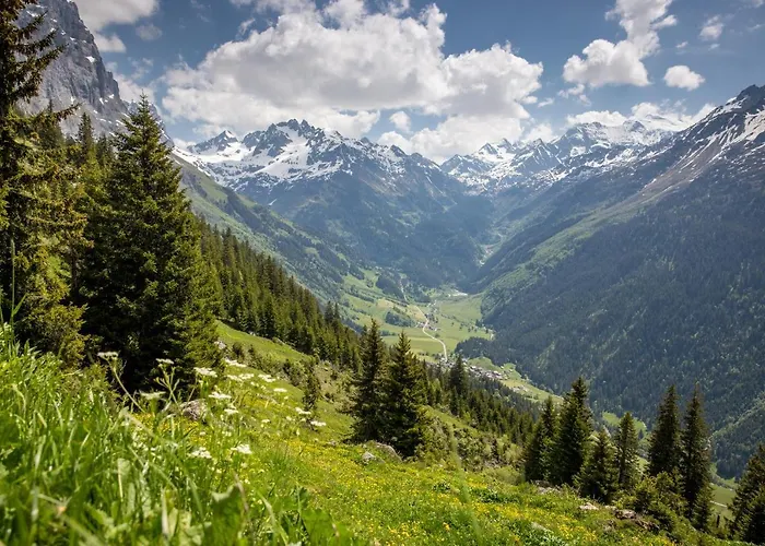 Taelli Huette Penzion *