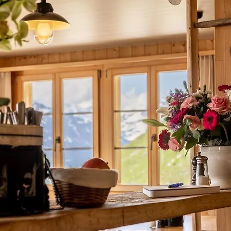 Taelli Huette イン Gadmen